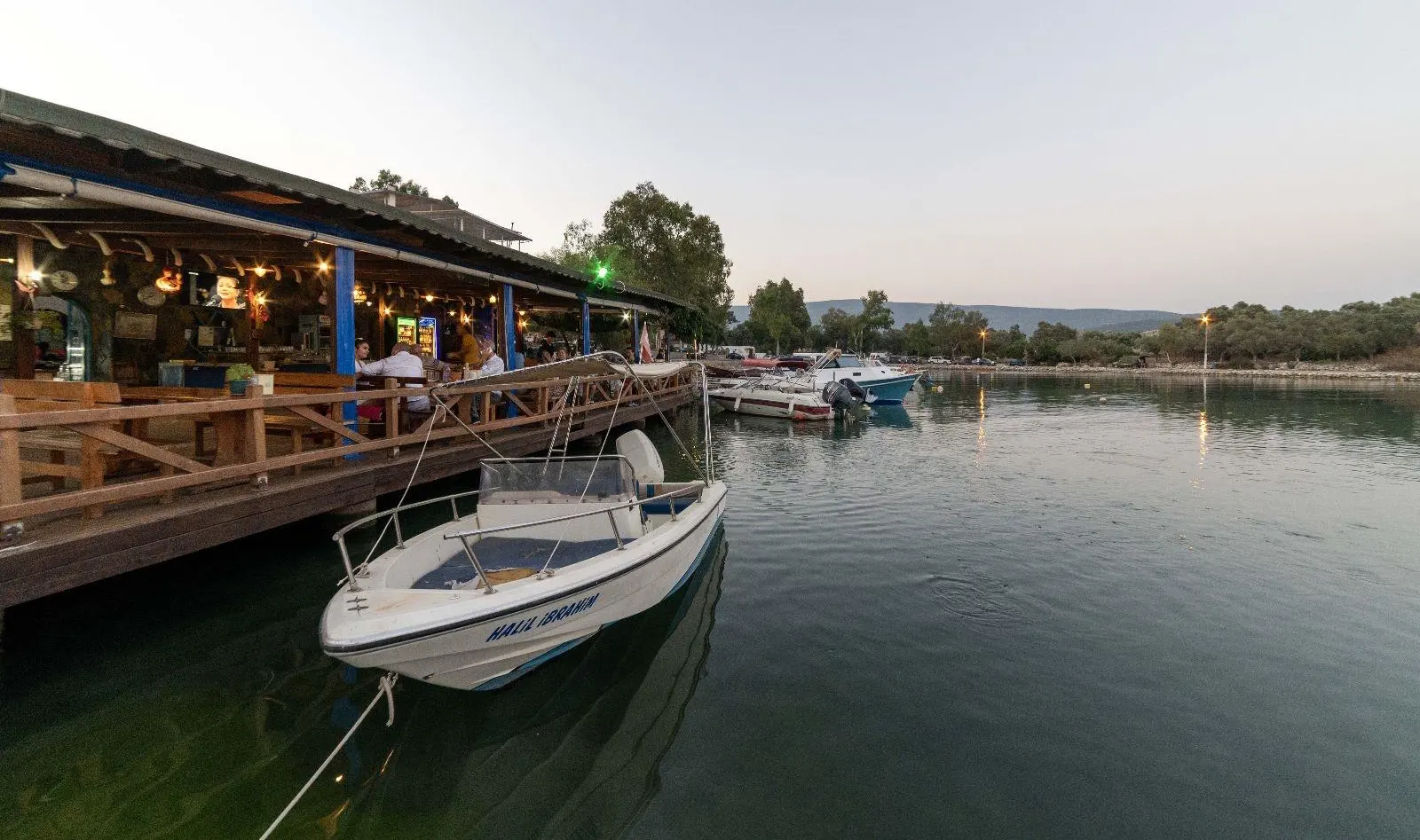 Nek House Zeytin Galeri