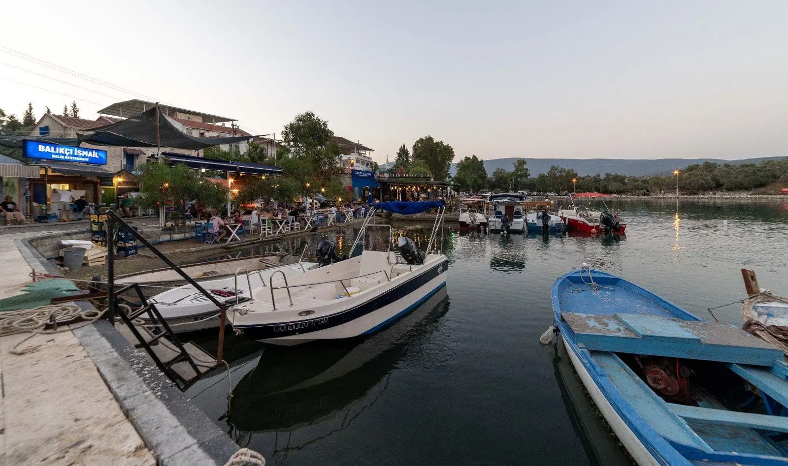 Nek House Zeytin Galeri